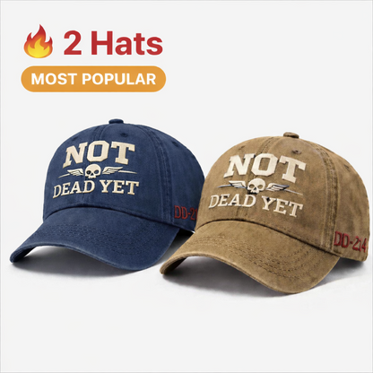 💥Flash Sale – Up to 50% Off! 🧢 Premium Vintage Washed Dad Hat